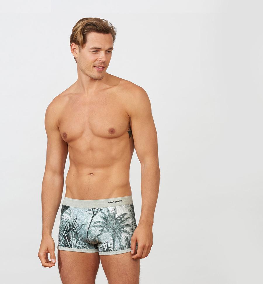 STONEMEN Boxer Brief - Jungle MENS UNDERWEAR - Zabecca Living