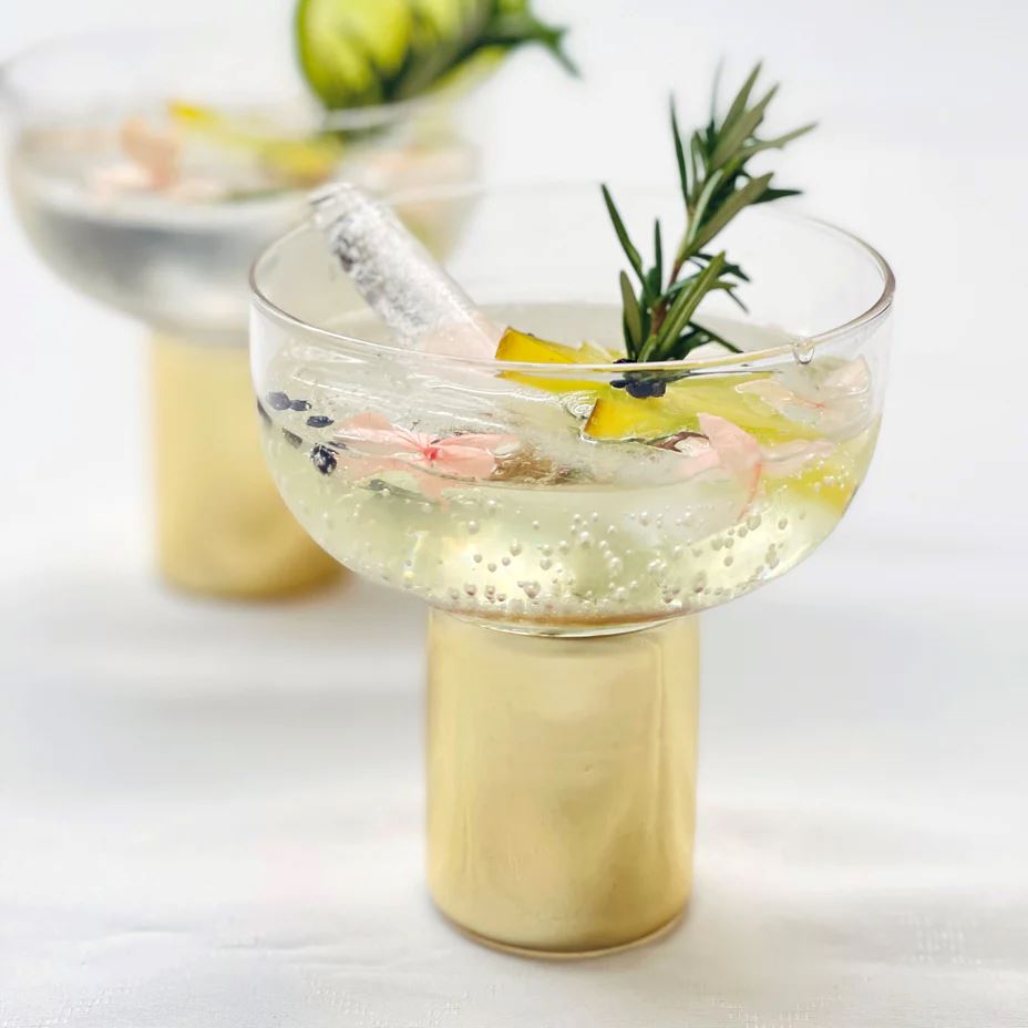 THE SOURCE Patsy Coupe Bowl - Set of 2 DRINKWARE - Zabecca Living