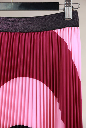 WE ARE THE OTHERS Lilian Pleat Skirt - Sangria Multi Skirt - Zabecca Living