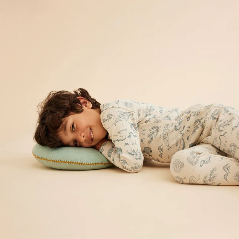 WILSON & FRENCHY Organic Long Sleeve Pyjamas - Artic Blast BABY CLOTHING - Zabecca Living