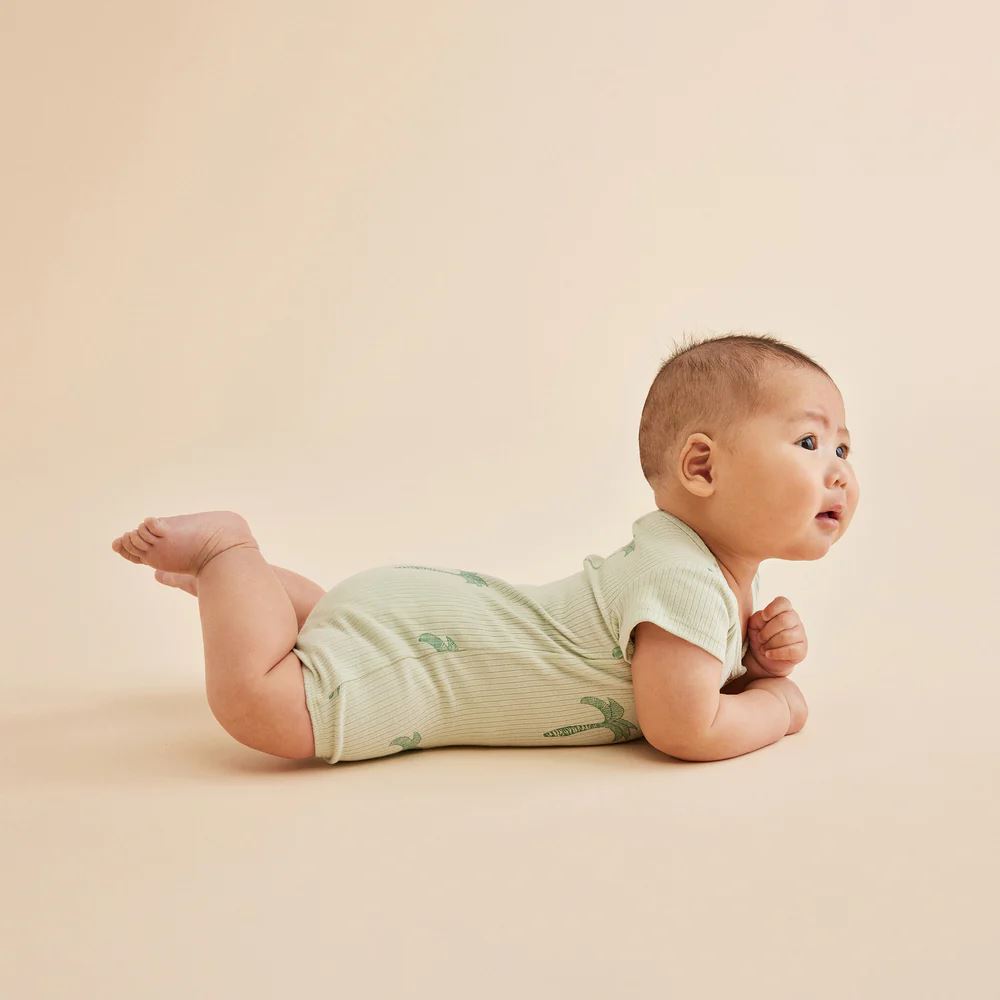 WILSON &amp; FRENCHY Organic Rib Henley Growsuit - Palm Tree BABY CLOTHING - Zabecca Living